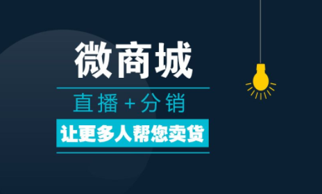 什么是微商分銷系統，有哪些特點？